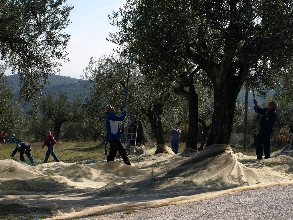 Podere Schioppello Casale Con Appartamenti Privati Cibottola Екстер'єр фото