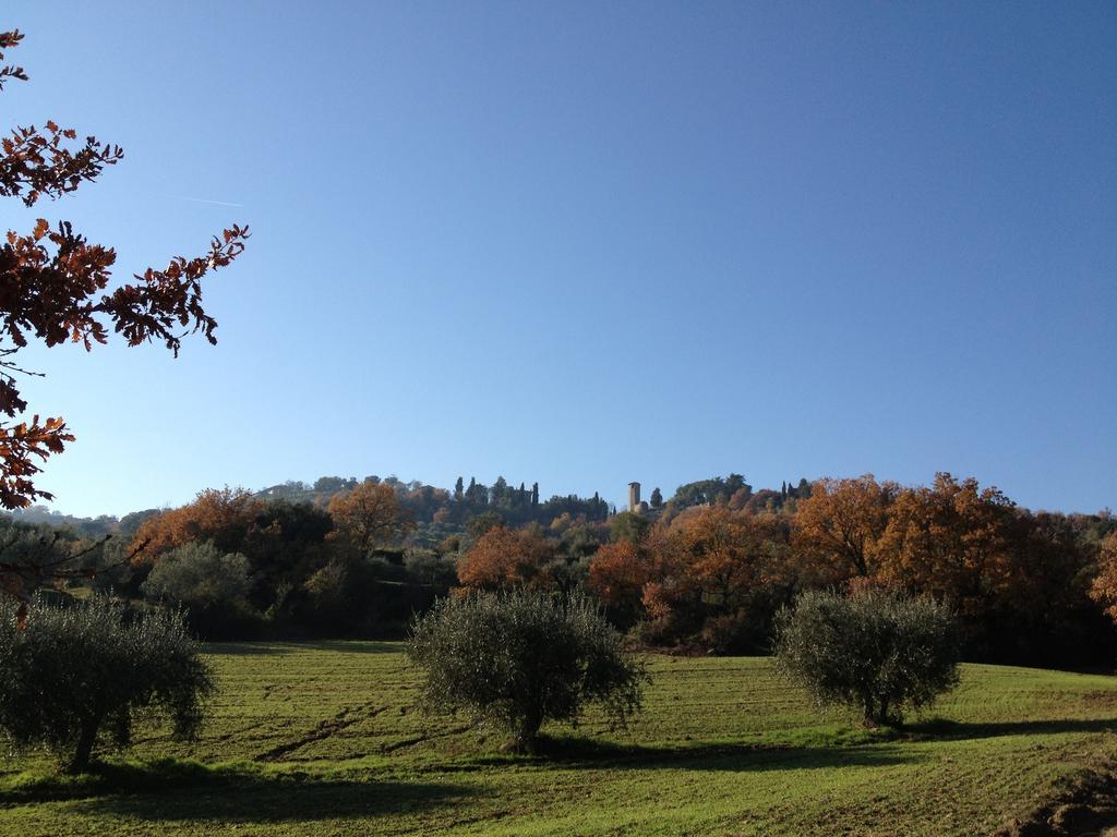 Podere Schioppello Casale Con Appartamenti Privati Cibottola Екстер'єр фото