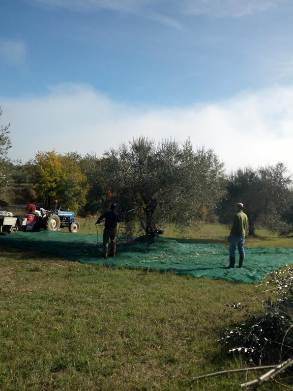 Podere Schioppello Casale Con Appartamenti Privati Cibottola Екстер'єр фото